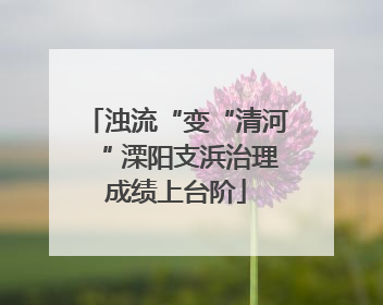 浊流“变“清河“ 溧阳支浜治理成绩上台阶