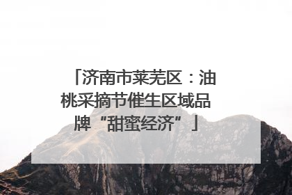 济南市莱芜区：油桃采摘节催生区域品牌“甜蜜经济”