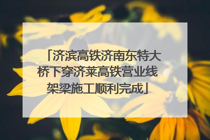 济滨高铁济南东特大桥下穿济莱高铁营业线架梁施工顺利完成