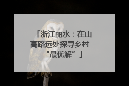 浙江丽水：在山高路远处探寻乡村“最优解”