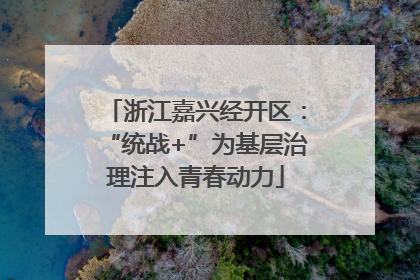 浙江嘉兴经开区：“统战+”为基层治理注入青春动力