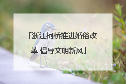 浙江柯桥推进婚俗改革 倡导文明新风
