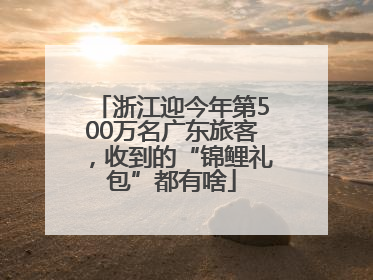 浙江迎今年第500万名广东旅客，收到的“锦鲤礼包”都有啥