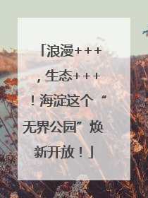 浪漫+++，生态+++！海淀这个“无界公园”焕新开放！