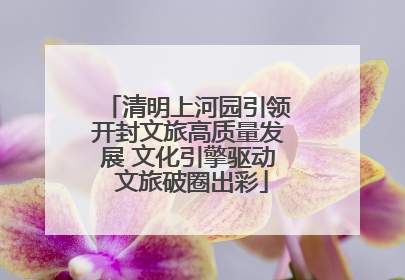 清明上河园引领开封文旅高质量发展 文化引擎驱动 文旅破圈出彩