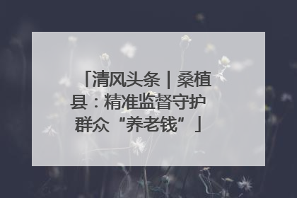 清风头条｜桑植县：精准监督守护群众“养老钱”