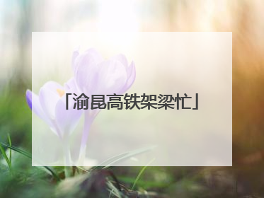 渝昆高铁架梁忙