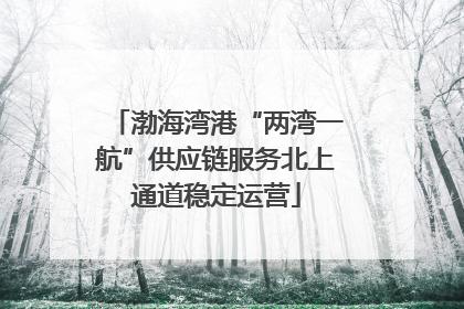 渤海湾港“两湾一航”供应链服务北上通道稳定运营