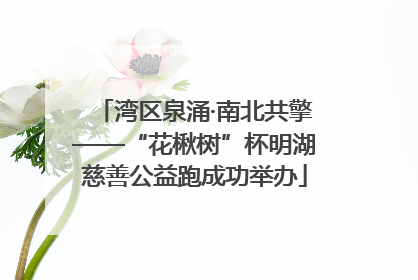 湾区泉涌·南北共擎——“花楸树”杯明湖慈善公益跑成功举办