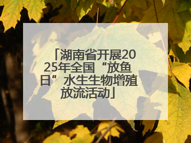 湖南省开展2025年全国“放鱼日”水生生物增殖放流活动