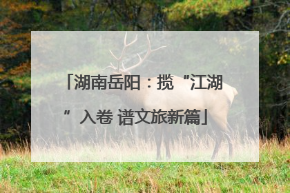 湖南岳阳：揽“江湖”入卷 谱文旅新篇