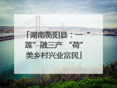 湖南衡阳县：一“莲”融三产 “荷”美乡村兴业富民