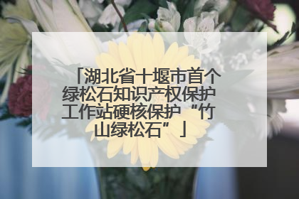 湖北省十堰市首个绿松石知识产权保护工作站硬核保护“竹山绿松石”
