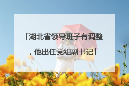 湖北省领导班子有调整，他出任党组副书记