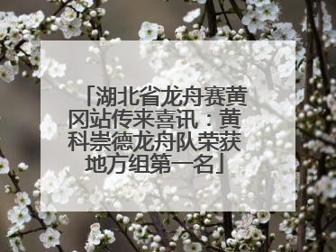 湖北省龙舟赛黄冈站传来喜讯：黄科崇德龙舟队荣获地方组第一名