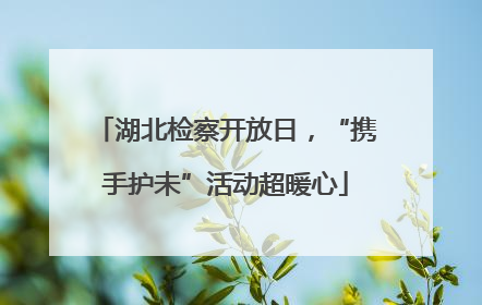 湖北检察开放日,“携手护未”活动超暖心