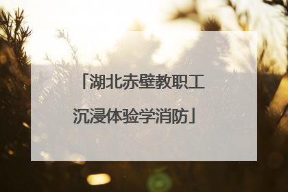 湖北赤壁教职工沉浸体验学消防