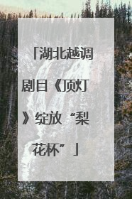 湖北越调剧目《顶灯》绽放“梨花杯”