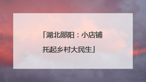 湖北郧阳：小店铺托起乡村大民生