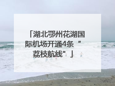 湖北鄂州花湖国际机场开通4条“荔枝航线”