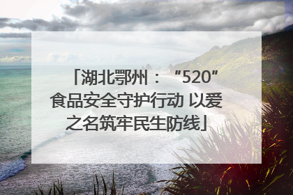 湖北鄂州：“520”食品安全守护行动 以爱之名筑牢民生防线