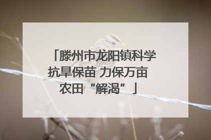 滕州市龙阳镇科学抗旱保苗 力保万亩农田“解渴”