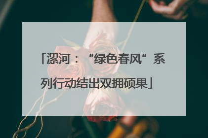 漯河：“绿色春风”系列行动结出双拥硕果