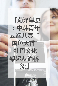 菏泽单县：中韩青年云端共赏“国色天香” 牡丹文化架起友谊桥梁