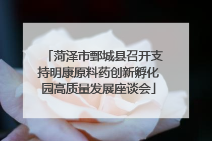 菏泽市鄄城县召开支持明康原料药创新孵化园高质量发展座谈会