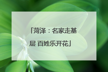 菏泽：名家走基层 百姓乐开花