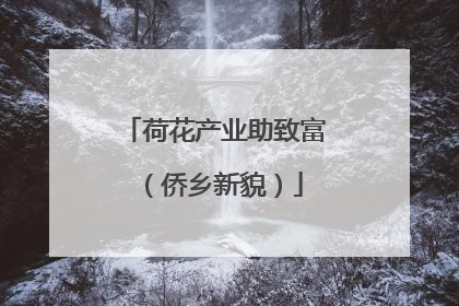 荷花产业助致富（侨乡新貌）