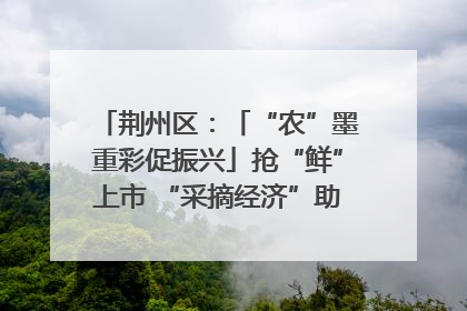 荆州区：「“农”墨重彩促振兴」抢“鲜”上市 “采摘经济”助农“甜蜜增收”