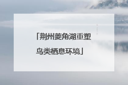 荆州菱角湖重塑鸟类栖息环境