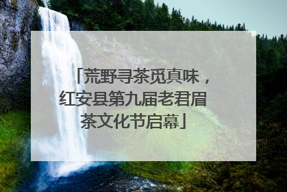 荒野寻茶觅真味，红安县第九届老君眉茶文化节启幕