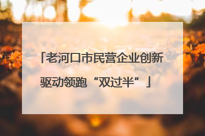老河口市民营企业创新驱动领跑“双过半”