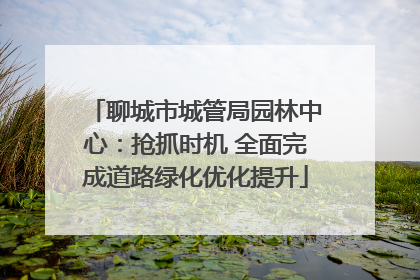 聊城市城管局园林中心：抢抓时机 全面完成道路绿化优化提升