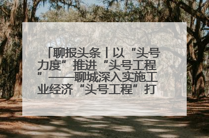 聊报头条丨以“头号力度”推进“头号工程”——聊城深入实施工业经济“头号工程”打造经济发展强引擎