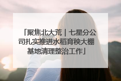 聚焦北大荒｜七星分公司扎实推进水稻育秧大棚基地清理整治工作