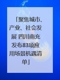 聚焦城市、产业、社会发展 四川南充发布83项应用场景机遇清单