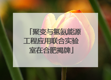 聚变与氢氨能源工程应用联合实验室在合肥揭牌