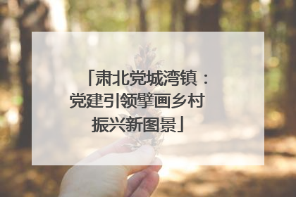 肃北党城湾镇：党建引领擘画乡村振兴新图景