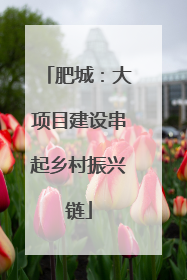 肥城：大项目建设串起乡村振兴链