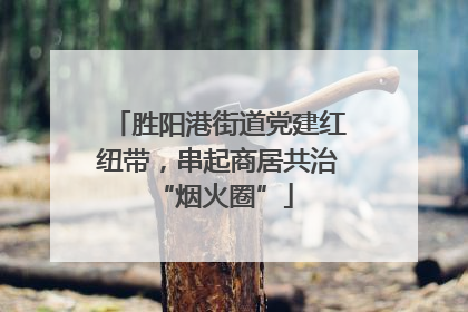 胜阳港街道党建红纽带，串起商居共治 “烟火圈”