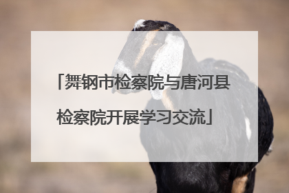 舞钢市检察院与唐河县检察院开展学习交流