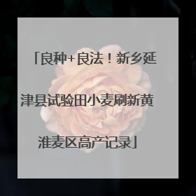 良种+良法！新乡延津县试验田小麦刷新黄淮麦区高产记录