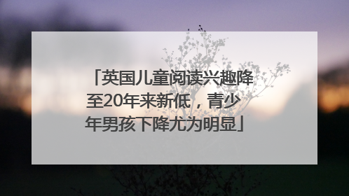 英国儿童阅读兴趣降至20年来新低，青少年男孩下降尤为明显