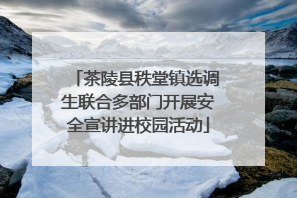 茶陵县秩堂镇选调生联合多部门开展安全宣讲进校园活动