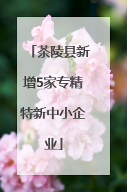 茶陵县新增5家专精特新中小企业