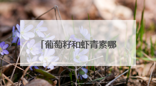 葡萄籽和虾青素哪个美白效果更好？