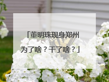 董明珠现身郑州 为了啥？干了啥？